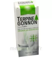 Terpine Gonnon 0,5 Pour Cent, Solution Buvable à Embrun