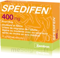 Spedifen 400 Mg, Comprimé Pelliculé Plq/12 à Embrun