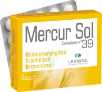 Lehning Mercur Sol Complexe N°39 Comprimés Sublinguals B/60 à Embrun